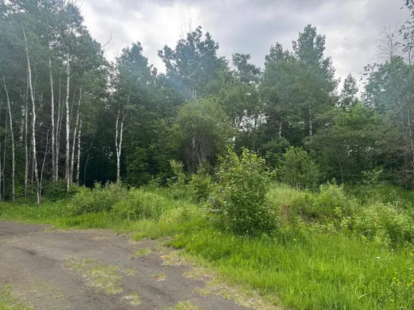 3xxx Quaal RD, Forbes, MN 55738