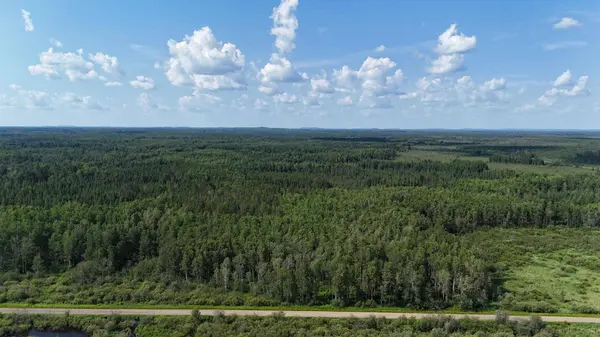 TBD Butterfield RD, Hibbing, MN 55746