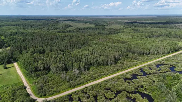 TBD Butterfield RD, Hibbing, MN 55746