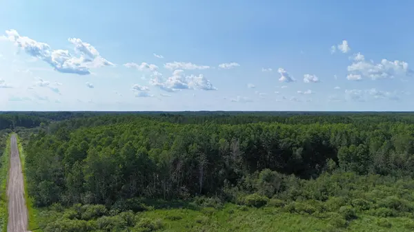 TBD Butterfield RD, Hibbing, MN 55746