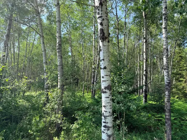 12xxx Butterfield RD, Hibbing, MN 55746