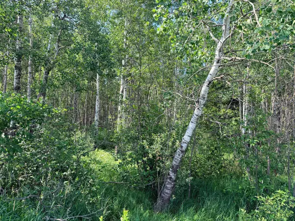 12xxx Butterfield RD, Hibbing, MN 55746