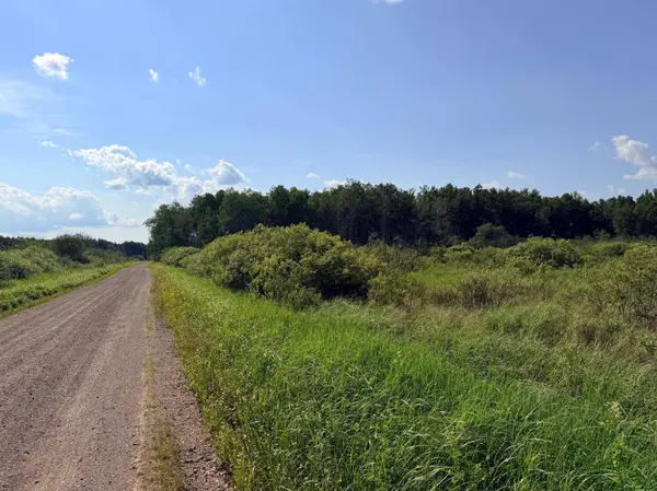 TBD Butterfield RD, Hibbing, MN 55746