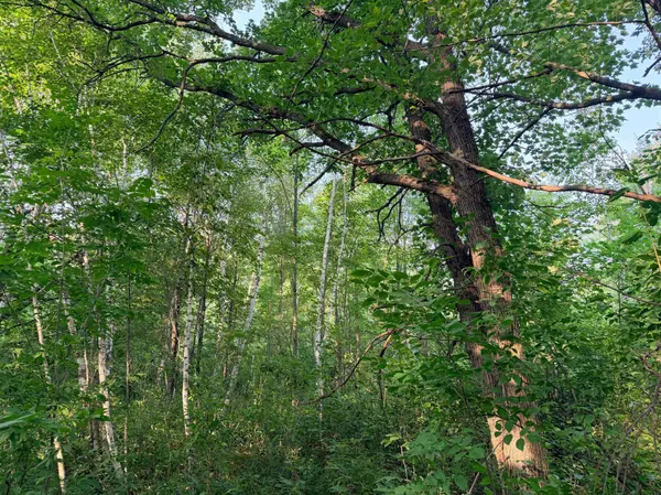 TBD Skyview ST, Brook Park, MN 55007