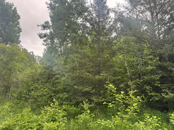 33xx Quaal RD, Forbes, MN 55738