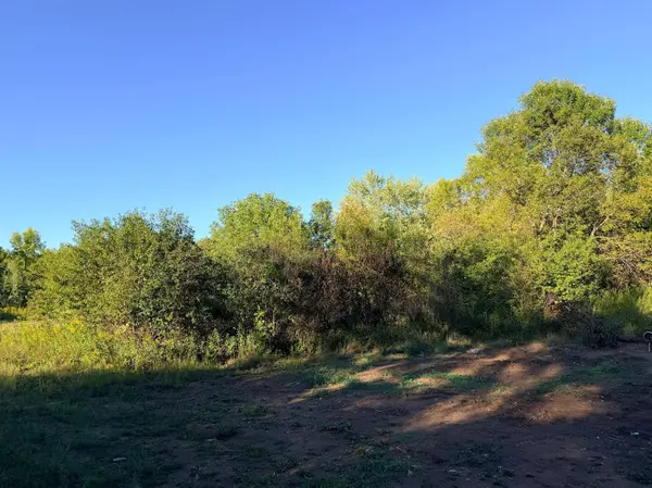 2346 150th AVE, Braham, MN 55006