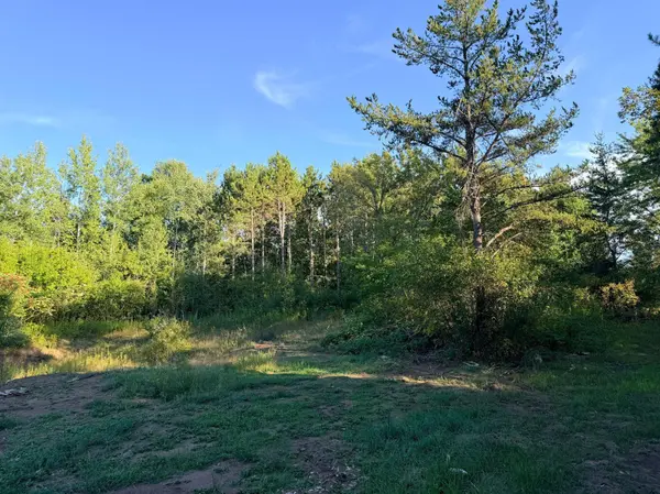 2346 150th AVE, Braham, MN 55006
