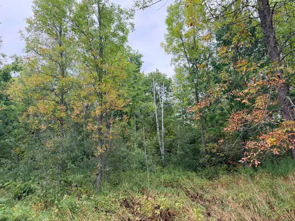 84227 Denham RD, Willow River, MN 55795