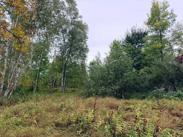 84227 Denham RD, Willow River, MN 55795