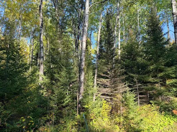 4603 North RD, Hovland, MN 55604