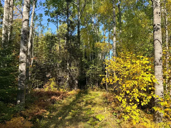 4603 North RD, Hovland, MN 55604