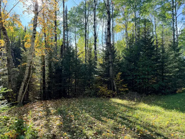 4603 North RD, Hovland, MN 55604