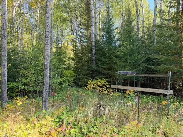 4603 North RD, Hovland, MN 55604