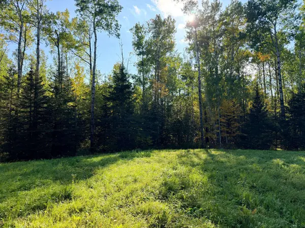 4603 North RD, Hovland, MN 55604