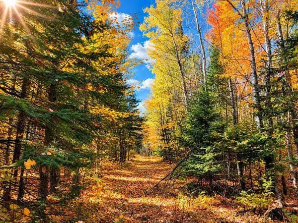 TBD Hinkkanen RD, Floodwood, MN 55736
