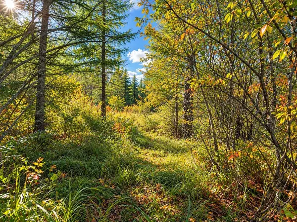TBD Hinkkanen RD, Floodwood, MN 55736