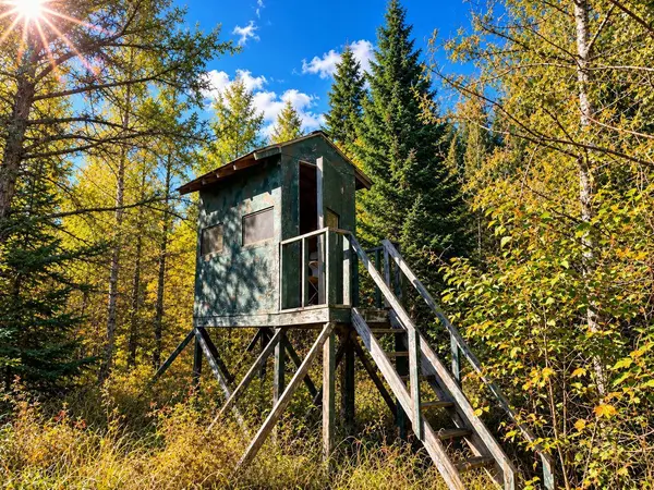 TBD Hinkkanen RD, Floodwood, MN 55736