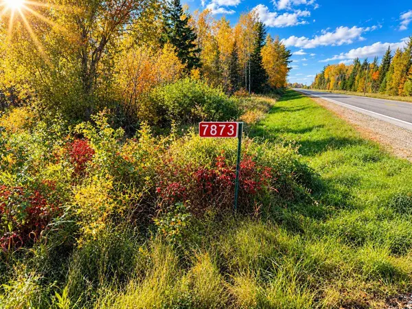 TBD Hinkkanen RD, Floodwood, MN 55736