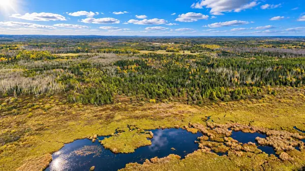 TBD Hinkkanen RD, Floodwood, MN 55736