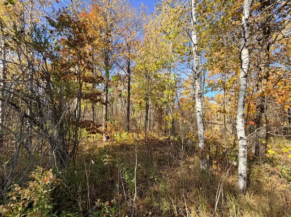12168 250th ST, Milaca, MN 56353