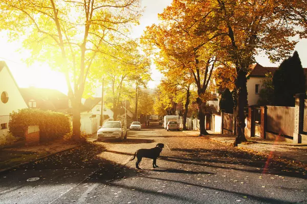 7 Leading Kansas City Suburbs for Commercial Development in 2025