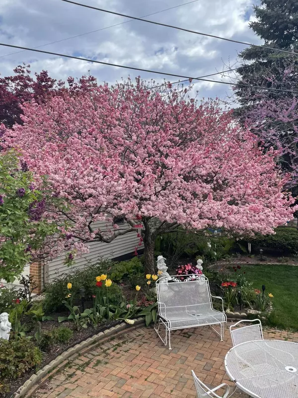 5822 N Bay Ridge, Whitefish Bay, WI 53217