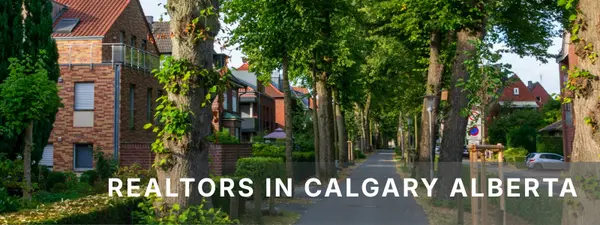 Established Neighborhoods in Calgary: How to Decide if They're Right for You