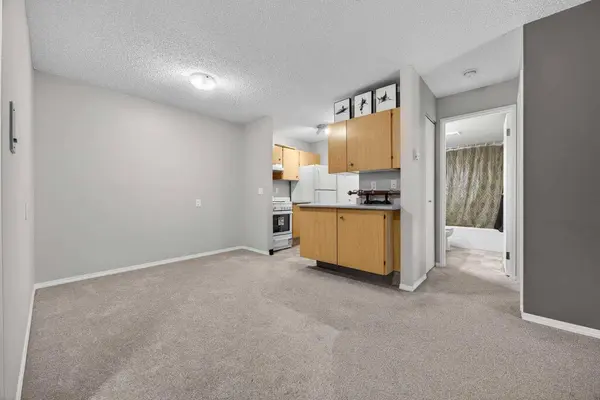 7301 4A ST SW #202B, Calgary, AB T2V 4V8