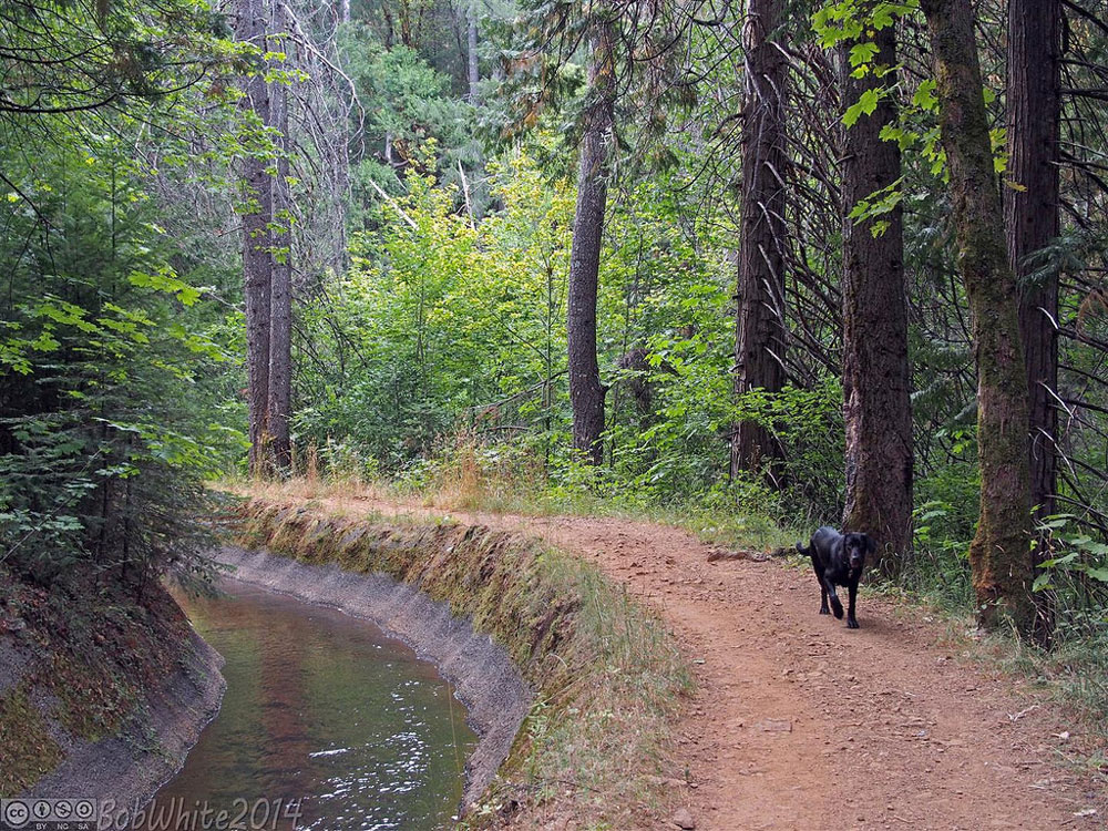 Cascade Canal Trail.