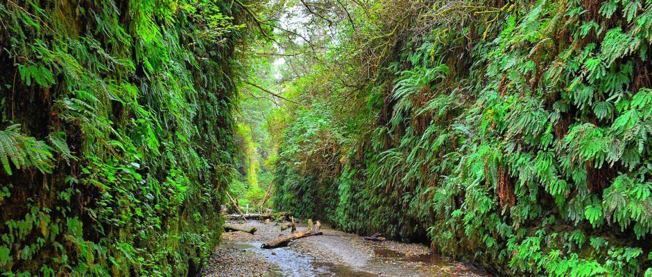 11 Trails In Northern California You Must Take If You Love The Outdoors