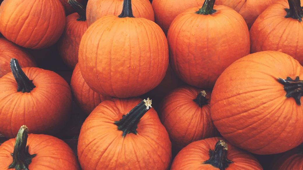 Visit These Pumpkin Patches in the Sierra Foothills