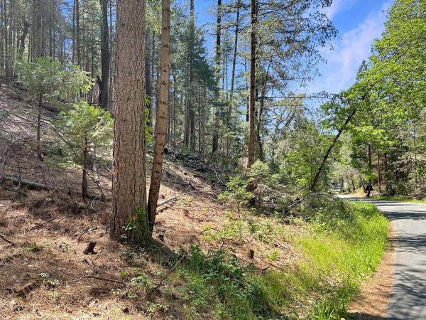 1111 Norton Grade, Colfax, CA 95713