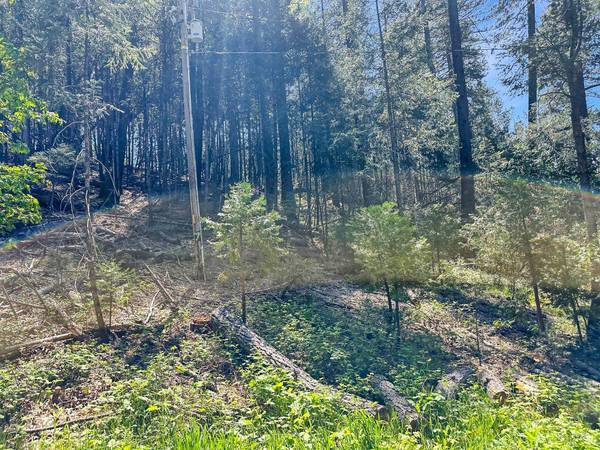 1111 Norton Grade, Colfax, CA 95713
