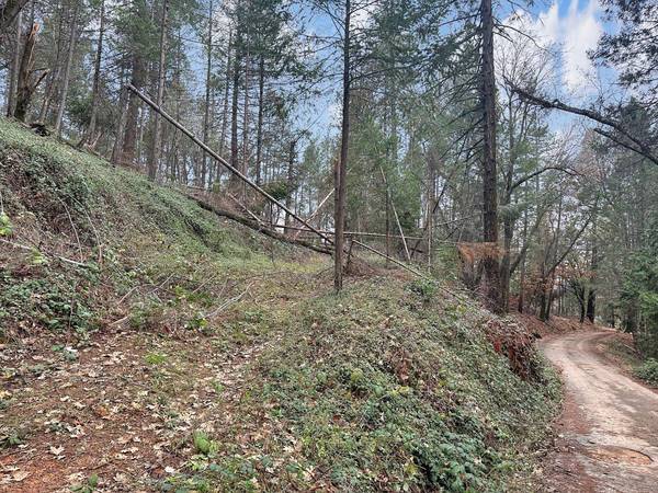 44 Woolley RD, Colfax, CA 95713