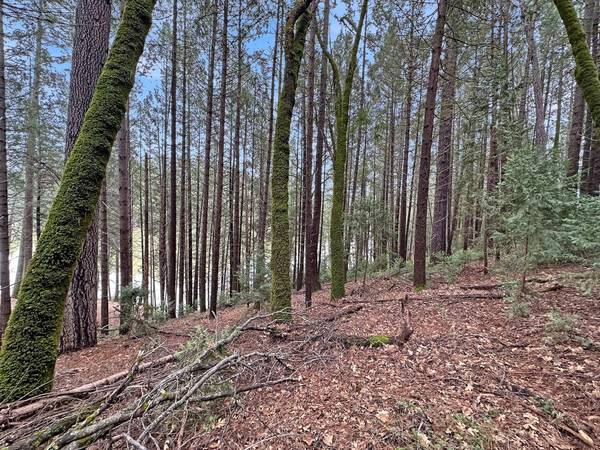 17871 Rollins View DR, Grass Valley, CA 95945