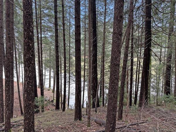 17871 Rollins View DR, Grass Valley, CA 95945