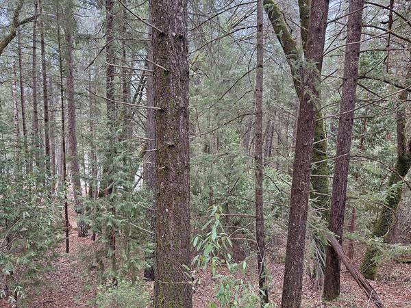 17871 Rollins View DR, Grass Valley, CA 95945