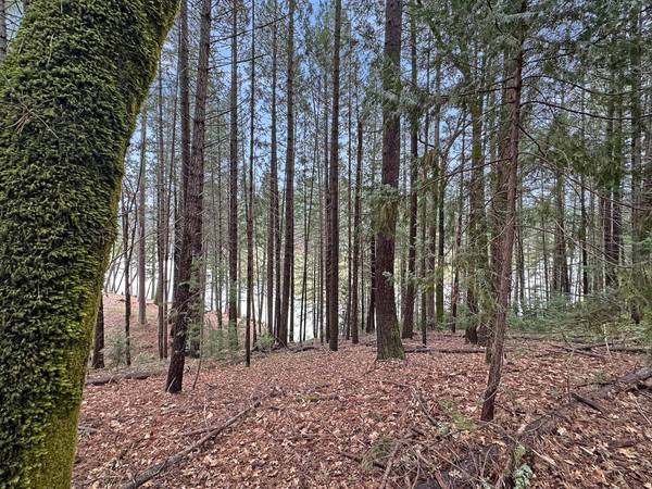 17871 Rollins View DR, Grass Valley, CA 95945