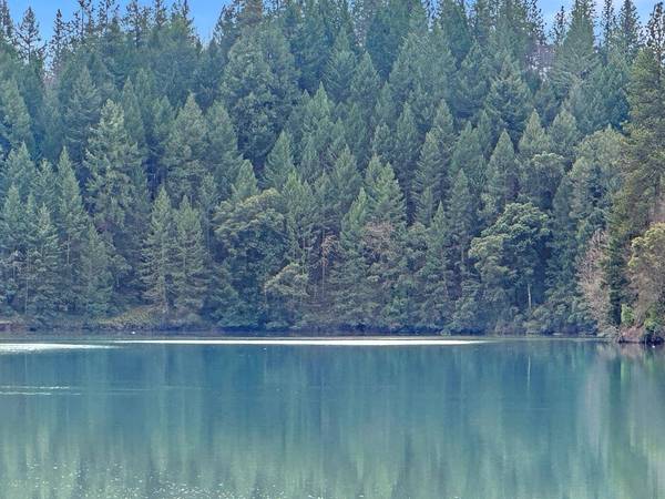 17871 Rollins View DR, Grass Valley, CA 95945