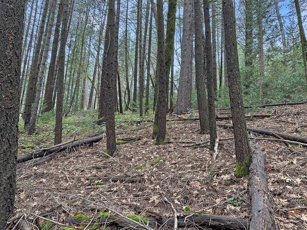 17871 Rollins View DR, Grass Valley, CA 95945