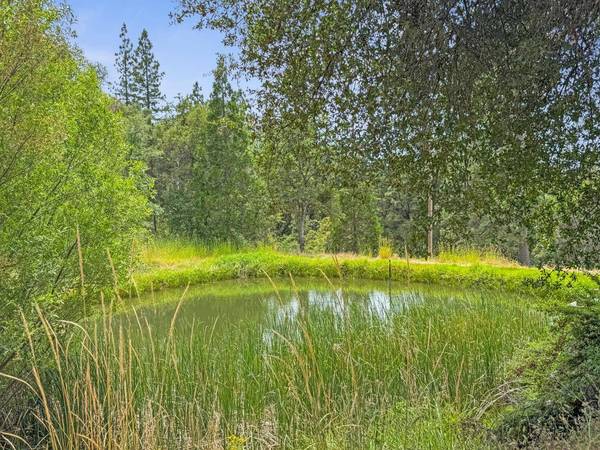 15655 Rough And Ready HWY, Rough And Ready, CA 95975