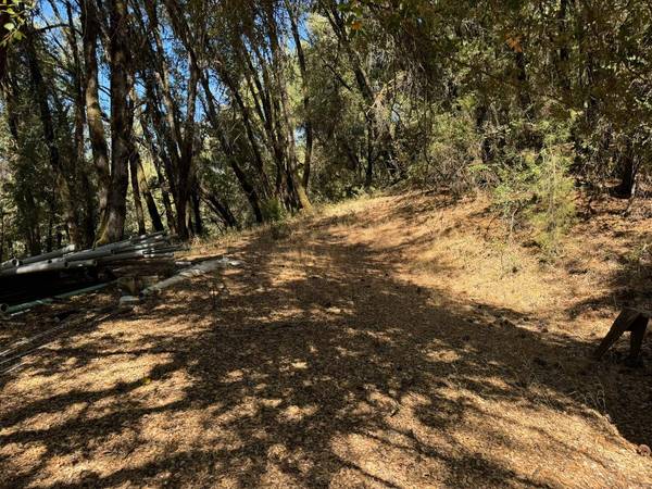 15539 Norvin WAY, Grass Valley, CA 95949