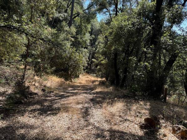15539 Norvin WAY, Grass Valley, CA 95949