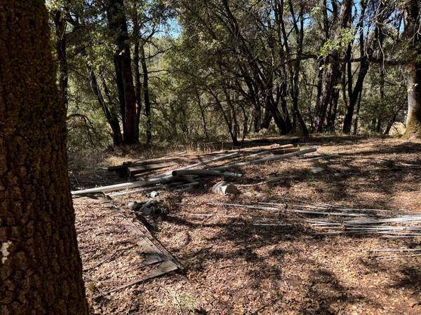 15539 Norvin WAY, Grass Valley, CA 95949