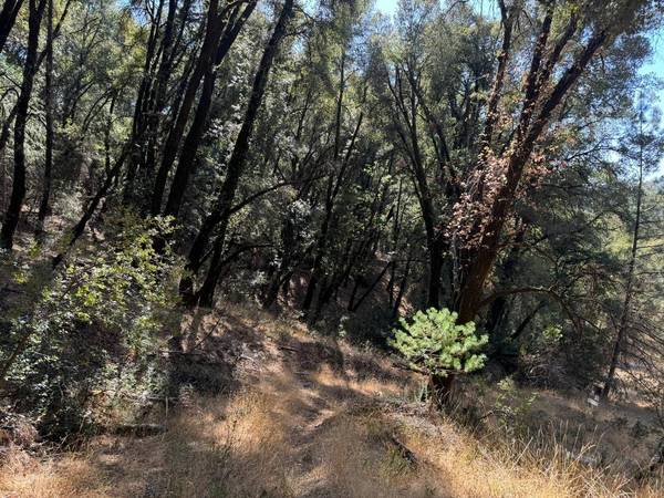 15539 Norvin WAY, Grass Valley, CA 95949