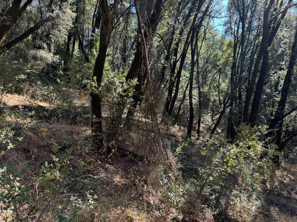 15539 Norvin WAY, Grass Valley, CA 95949