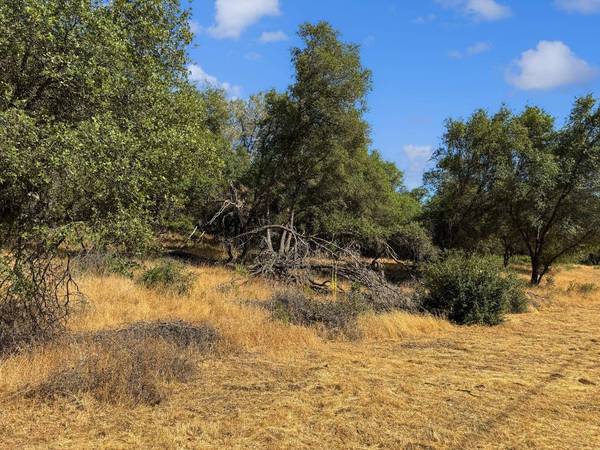 1001 Old Airport RD, Auburn, CA 95603