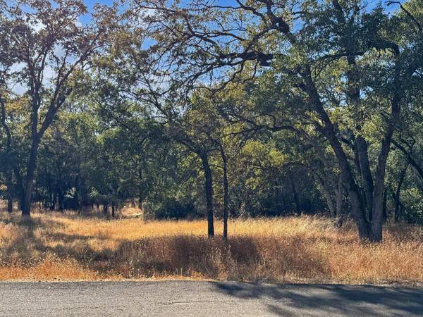 1001 Old Airport RD, Auburn, CA 95603