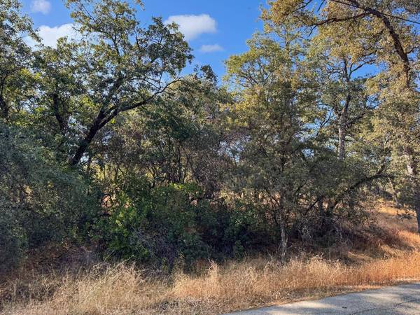 1001 Old Airport RD, Auburn, CA 95603