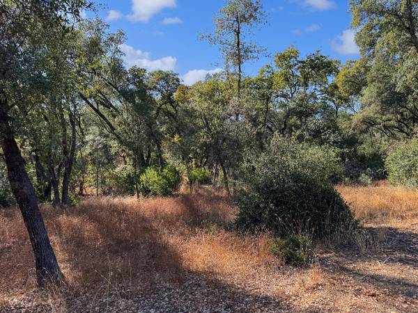 1001 Old Airport RD, Auburn, CA 95603